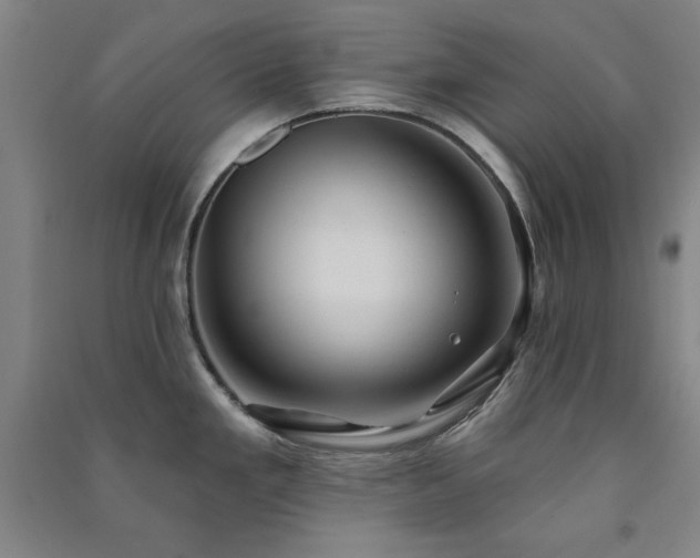 X0000091331293200708171343