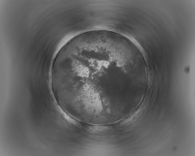 X0000091331294200708171343