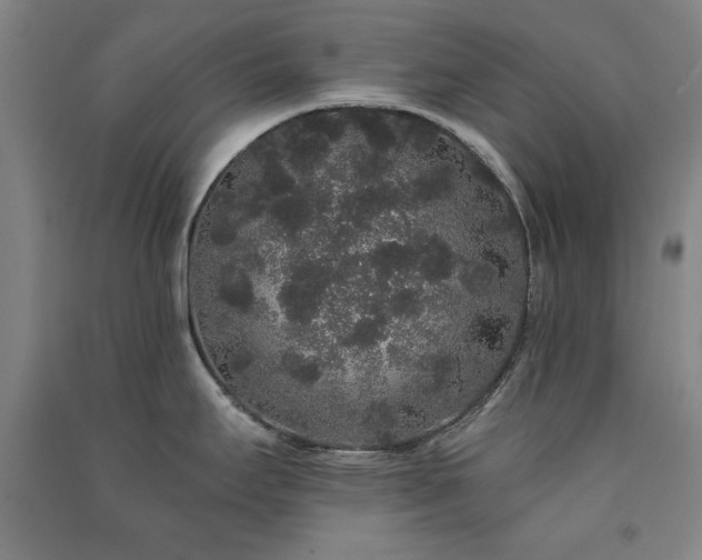 X0000091331295200708171343