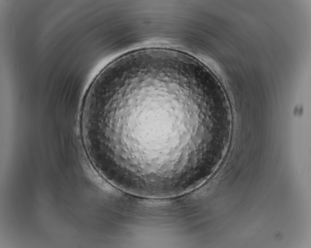 X0000091331296200708171343