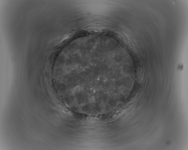 X0000091331297200708171343