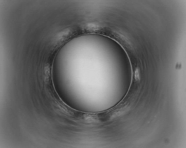 X0000091331299200708171343