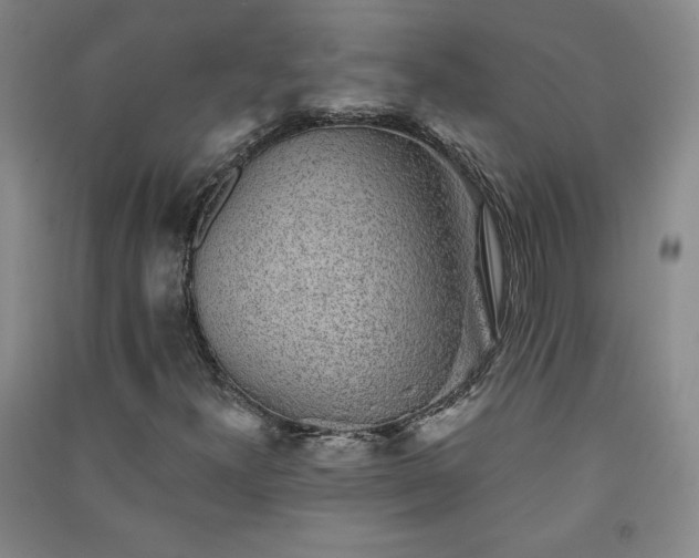 X0000091331300200708171343