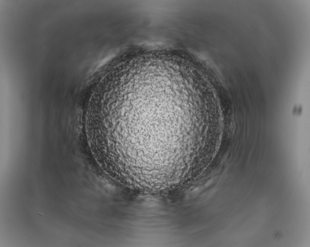 X0000091331301200708171343