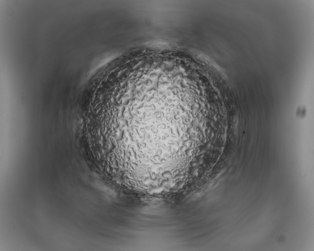 X0000091331302200708171343