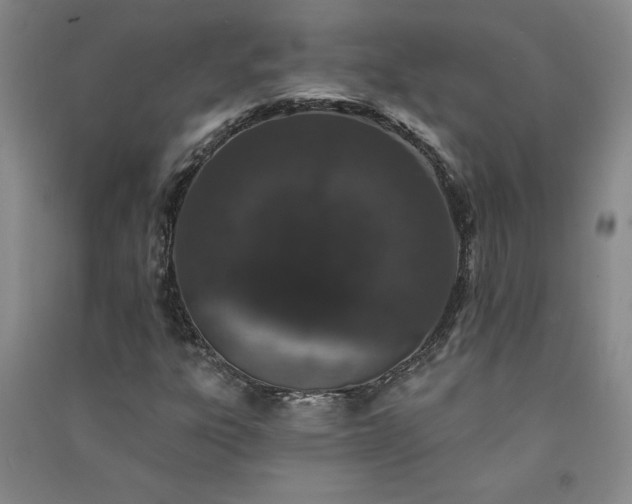 X0000091331303200708171343