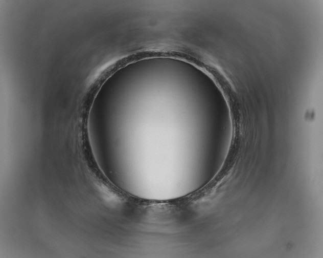 X0000091331304200708171343