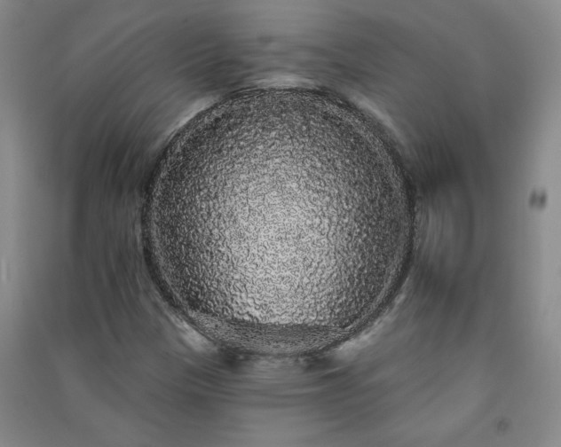 X0000091331305200708171343