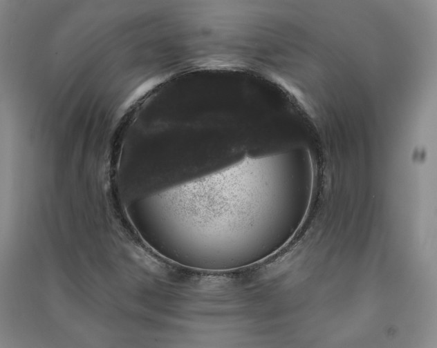 X0000091331306200708171343