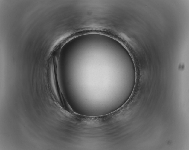 X0000091331307200708171343