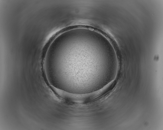 X0000091331312200708171343