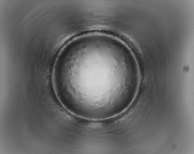 X0000091331313200708171343