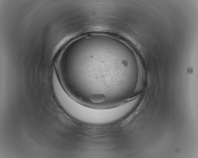 X0000091331314200708171343