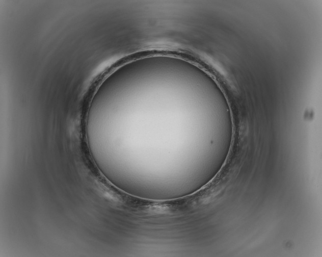 X0000091331315200708171343