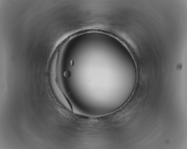 X0000091331316200708171343