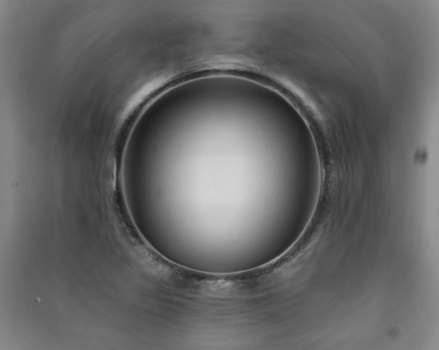 X0000091331317200708171343