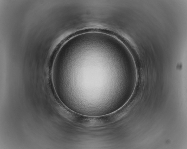 X0000091331318200708171343