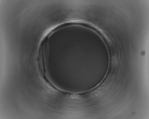 X0000091331319200708171343