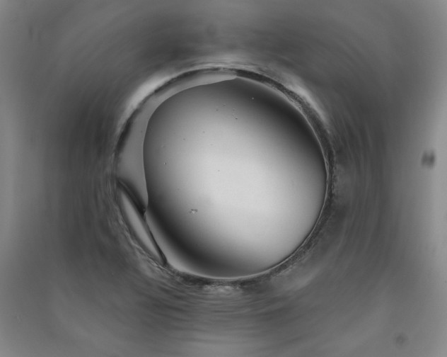 X0000091331320200708171343