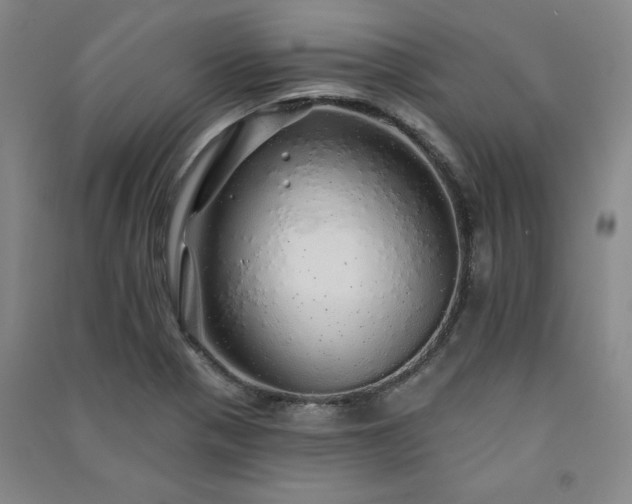 X0000091331321200708171343