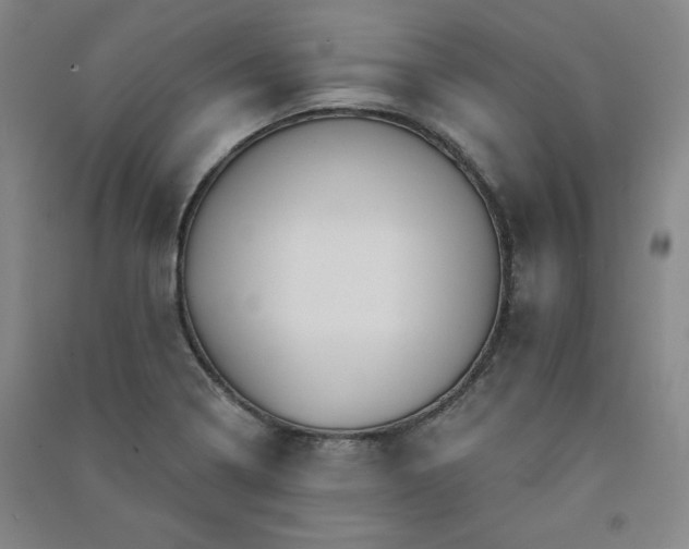 X0000091331322200708171343