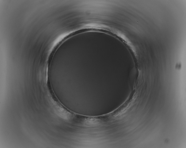 X0000091331323200708171343