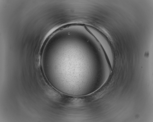 X0000091331324200708171343