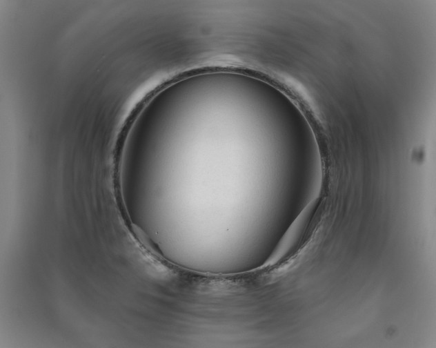 X0000091331326200708171343