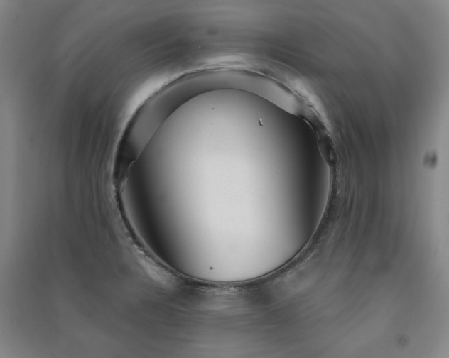 X0000091331328200708171343