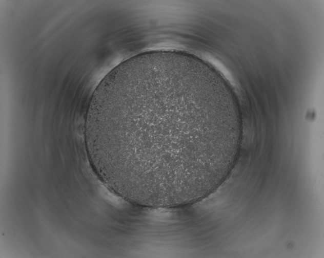 X0000091331329200708171343