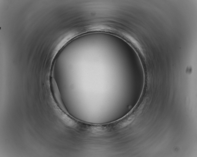 X0000091331330200708171343