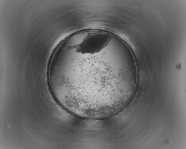 X0000091331331200708171343