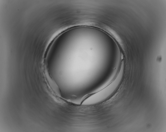 X0000091331332200708171343