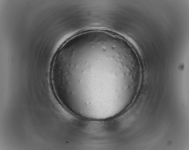 X0000091331333200708171343