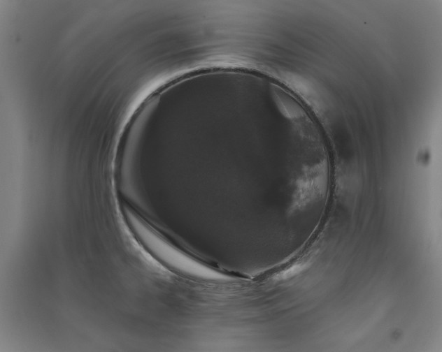 X0000091331334200708171343