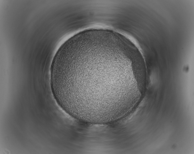 X0000091331335200708171343