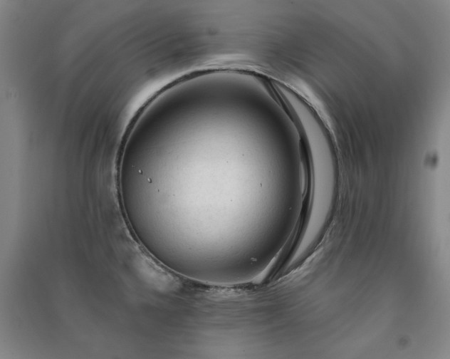 X0000091331336200708171343