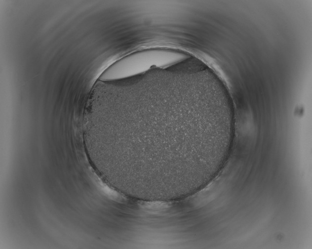 X0000091331337200708171343