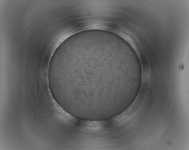 X0000091331338200708171343