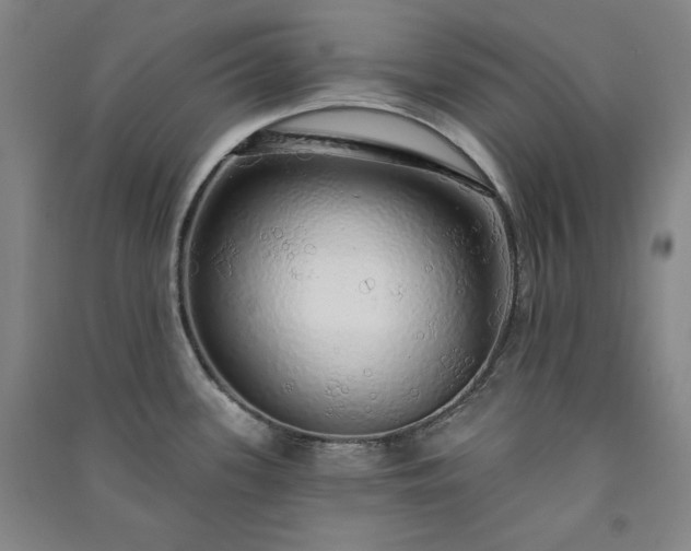 X0000091331339200708171343