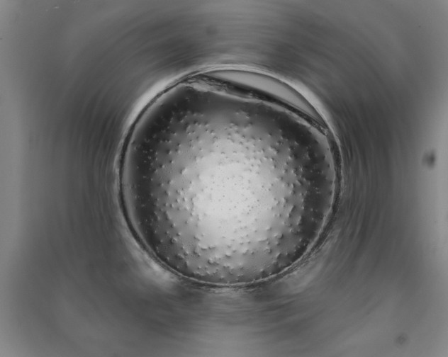 X0000091331341200708171343