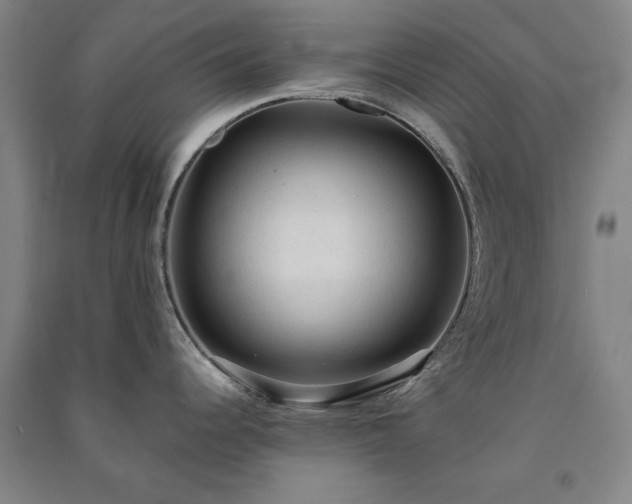 X0000091331344200708171343