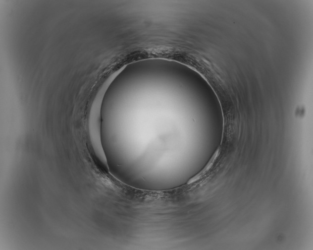 X0000091331345200708171343