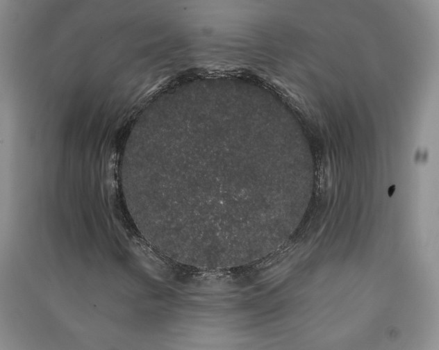 X0000091331346200708171343