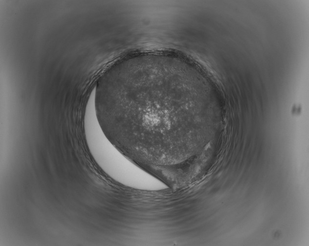 X0000091331348200708171343