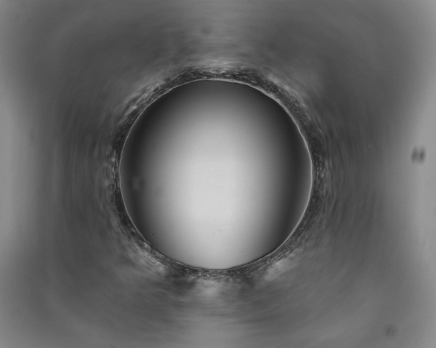 X0000091331349200708171343