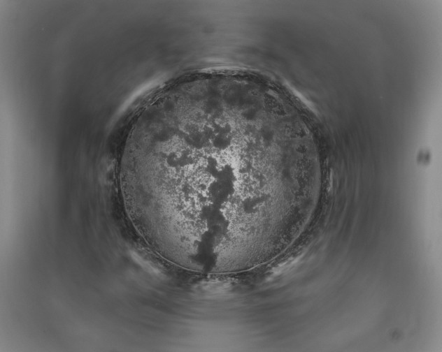 X0000091331351200708171343