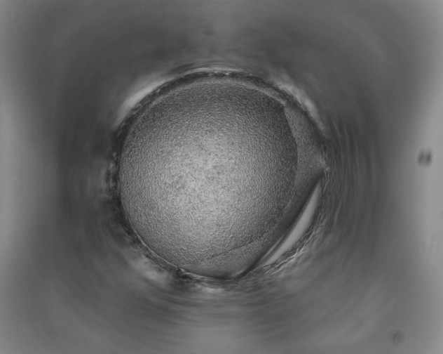 X0000091331352200708171343