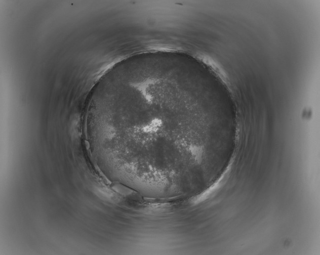 X0000091331353200708171343