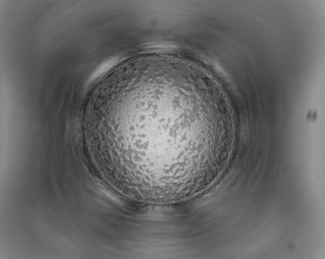 X0000091331354200708171342